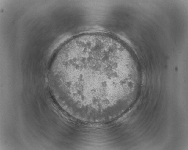 X0000064741407200603131307