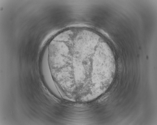 X0000064741408200603131307