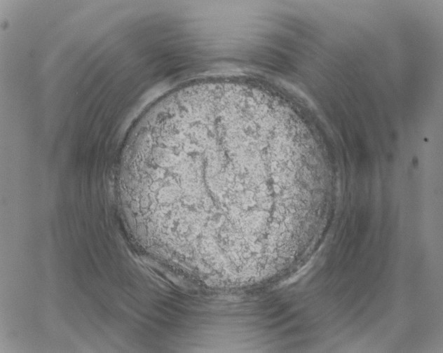 X0000064741409200603131307