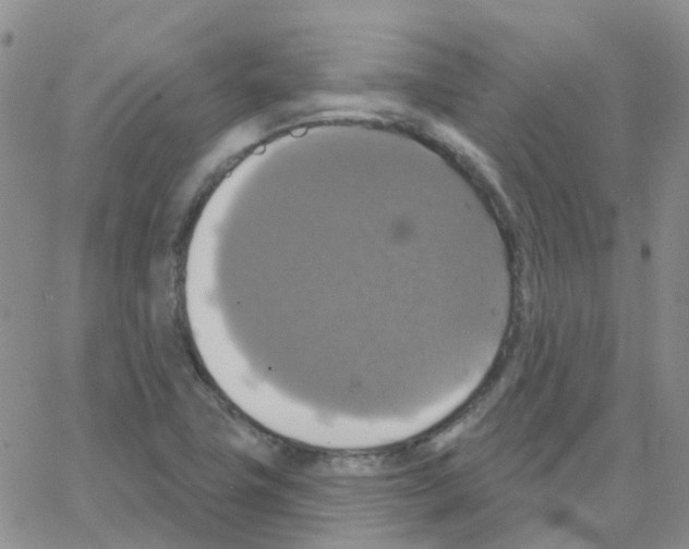 X0000064741411200603131307