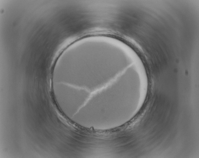 X0000064741413200603131307