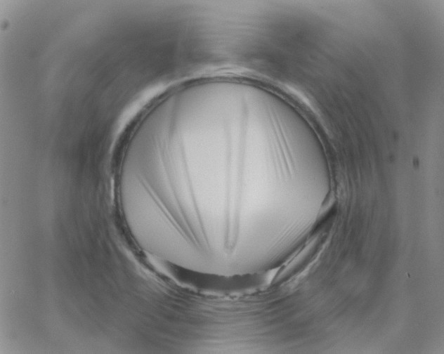 X0000064741414200603131307