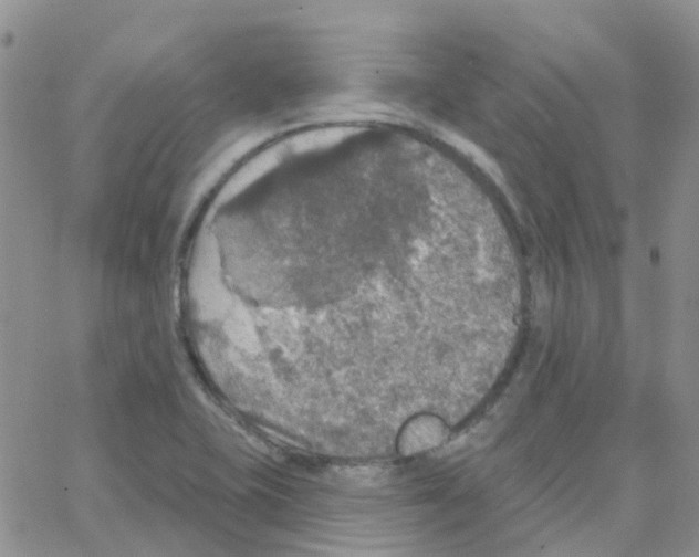 X0000064741415200603131307