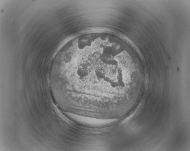 X0000064741417200603131307