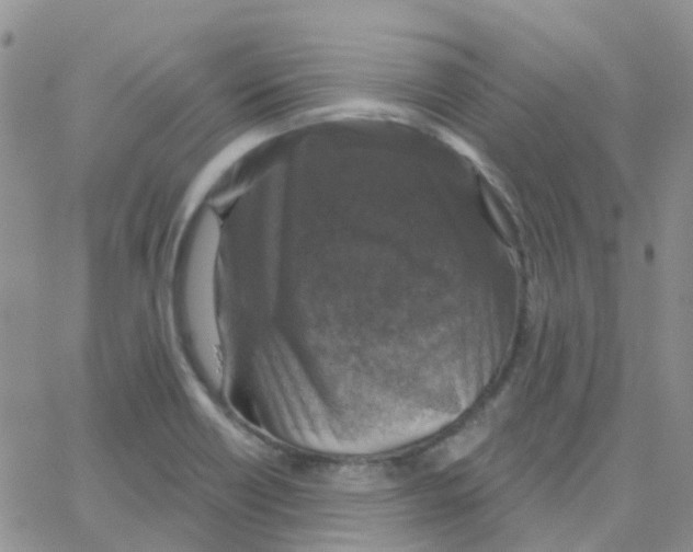 X0000064741418200603131307