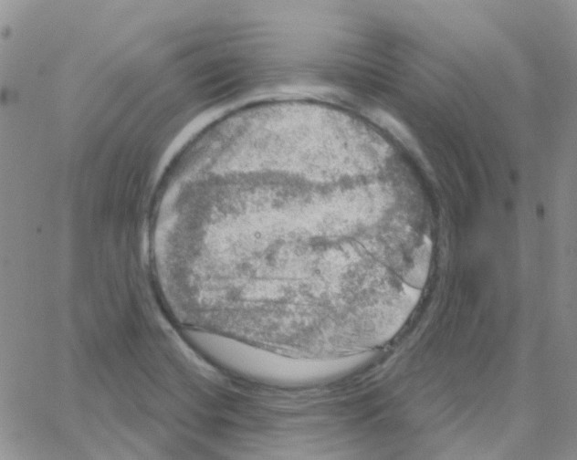 X0000064741420200603131307