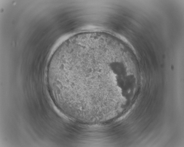 X0000064741421200603131307