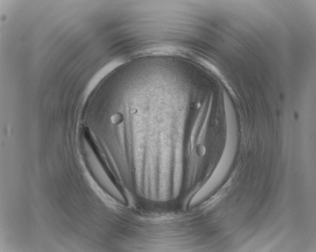 X0000064741426200603131307