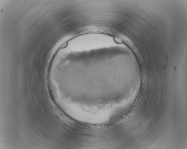 X0000064741427200603131307