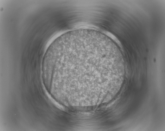 X0000064741431200603131307