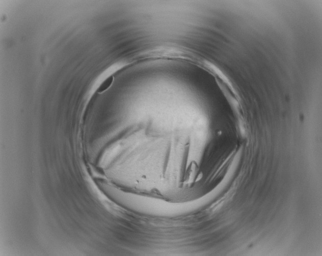 X0000064741434200603131307