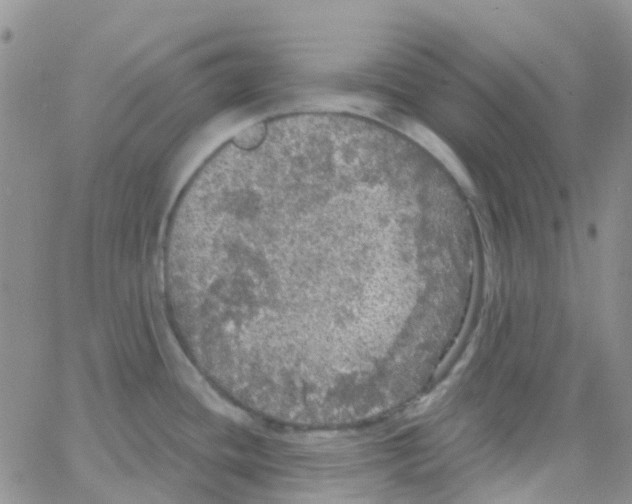 X0000064741436200603131307