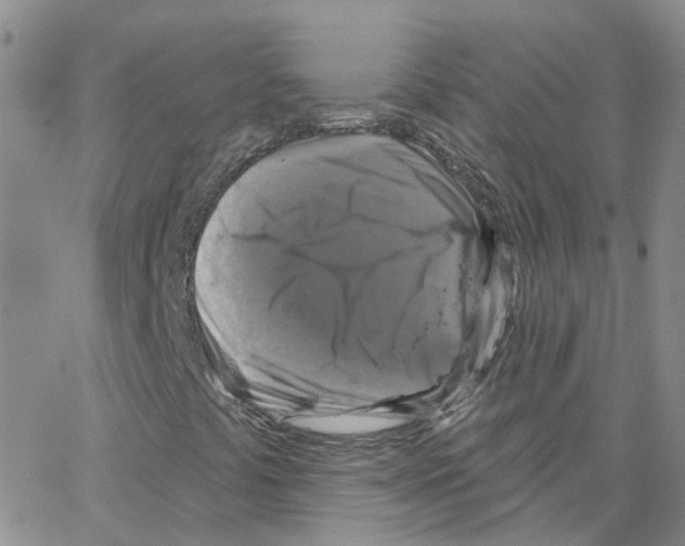 X0000064741441200603131306