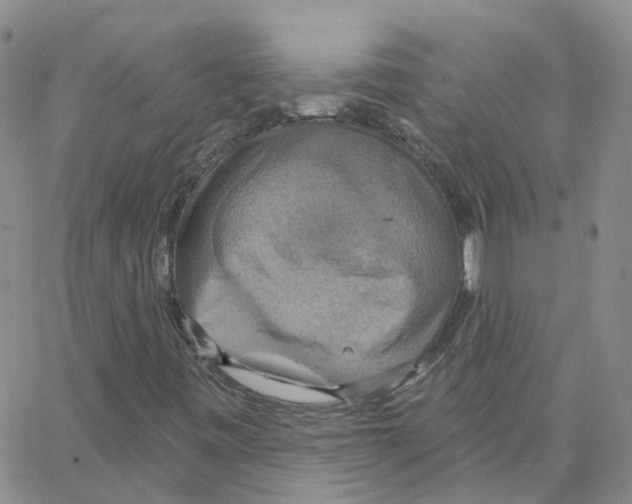 X0000064741443200603131306