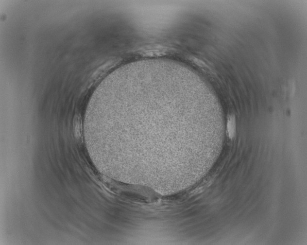 X0000064741444200603131306