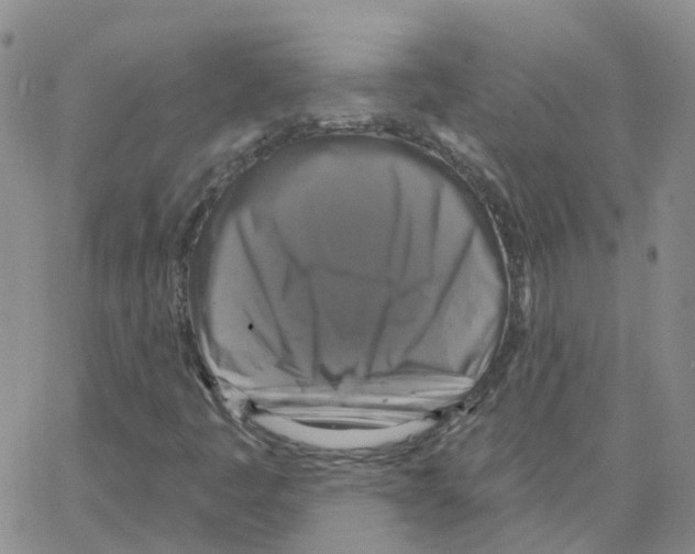 X0000064741445200603131306