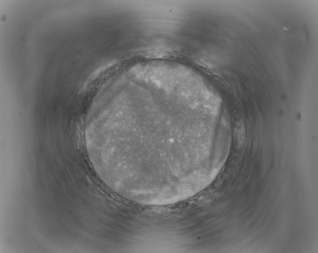 X0000064741446200603131306