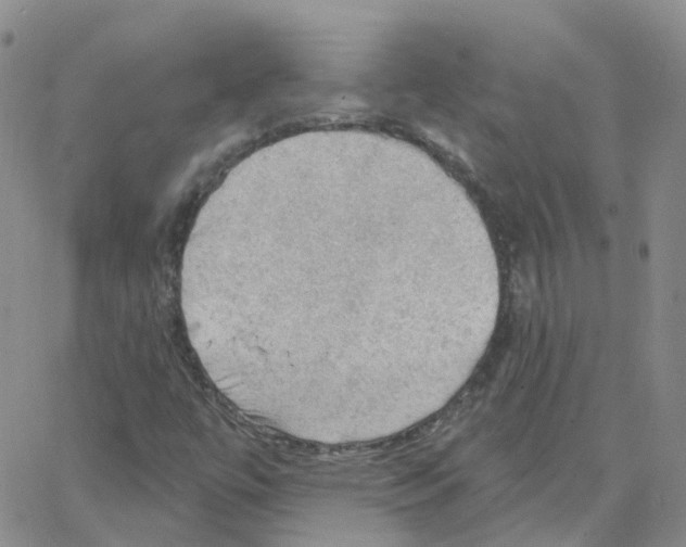 X0000064741447200603131306