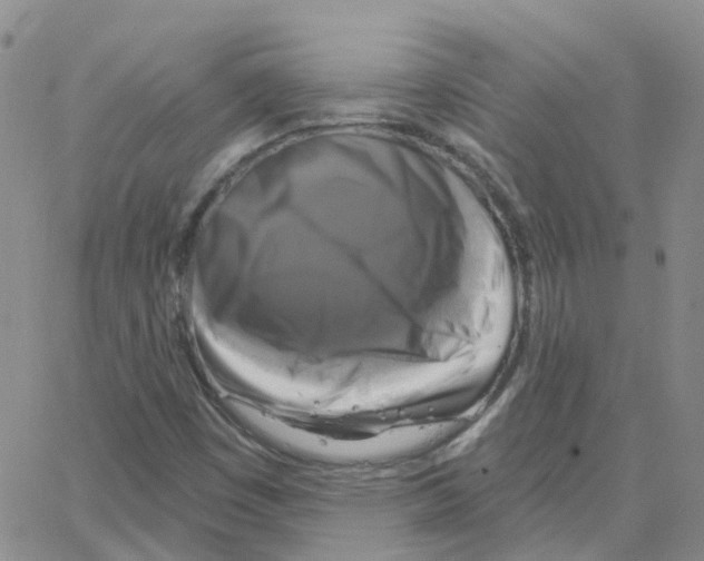 X0000064741449200603131306