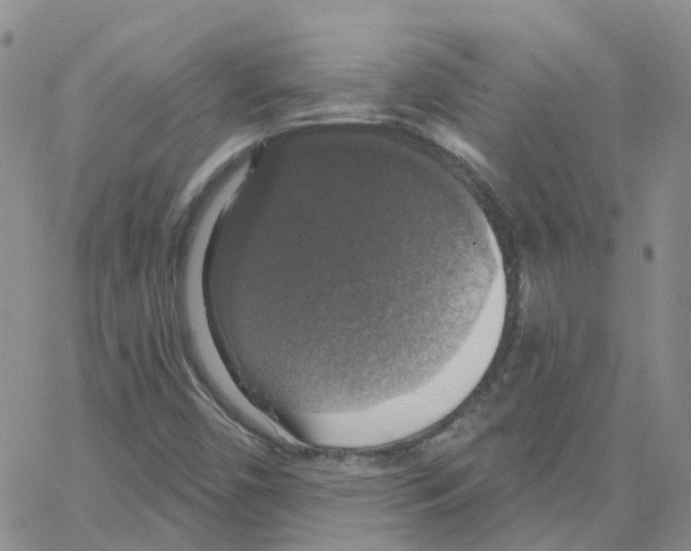 X0000064741450200603131306