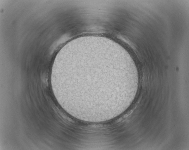 X0000064741451200603131306