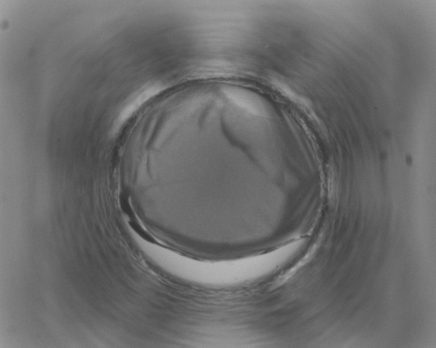 X0000064741453200603131306