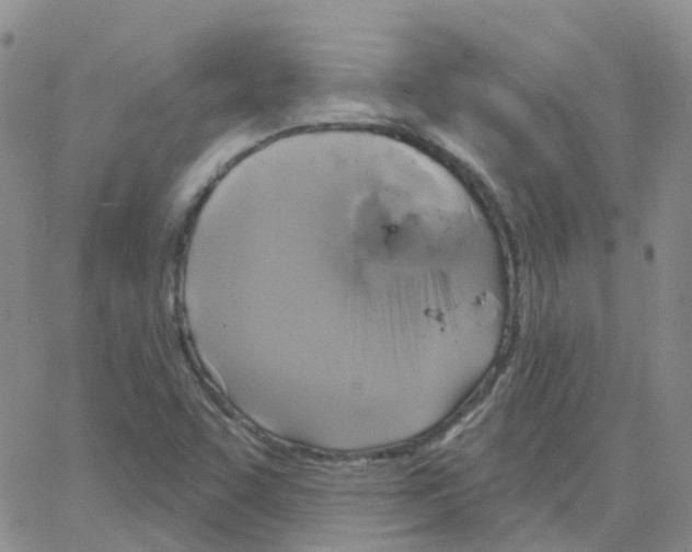 X0000064741455200603131306