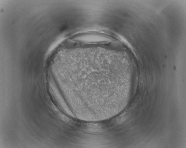 X0000064741456200603131306