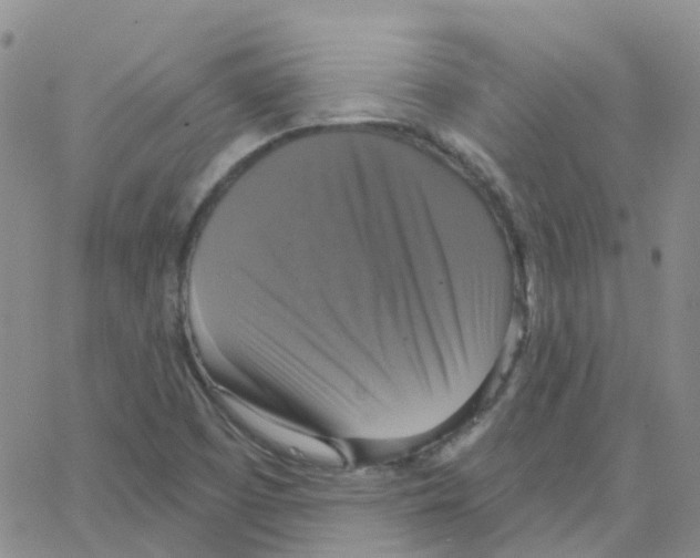 X0000064741457200603131306