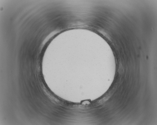 X0000064741458200603131306