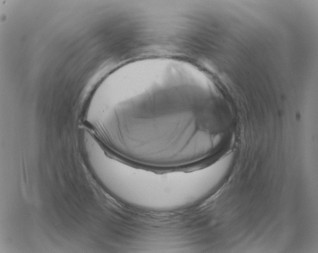 X0000064741459200603131306