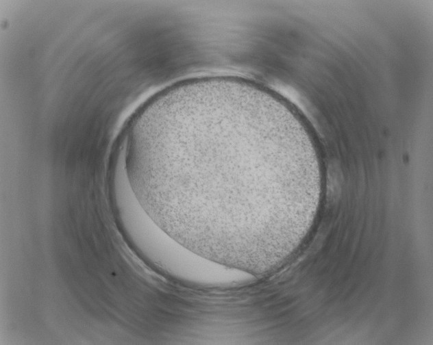 X0000064741460200603131306