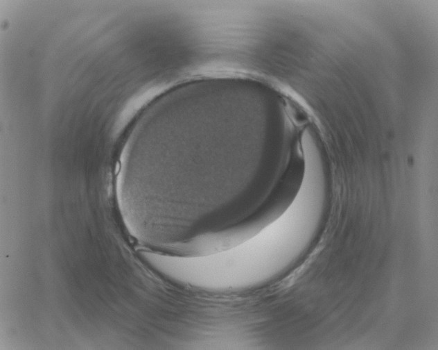 X0000064741461200603131306