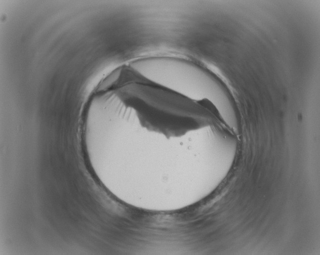 X0000064741463200603131306