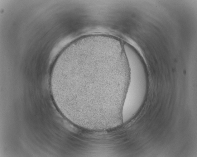 X0000064741464200603131306