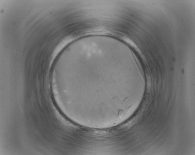 X0000064741466200603131306