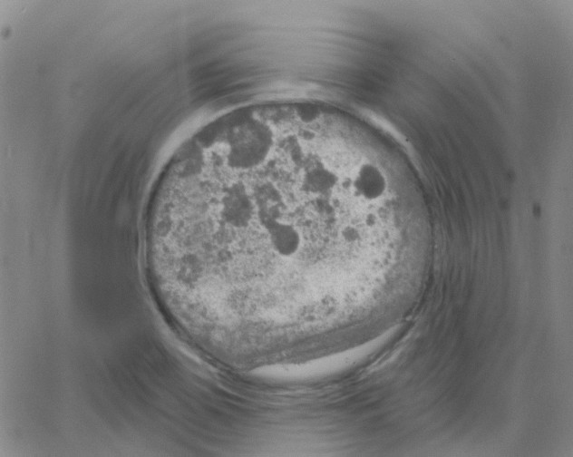 X0000064741467200603131306