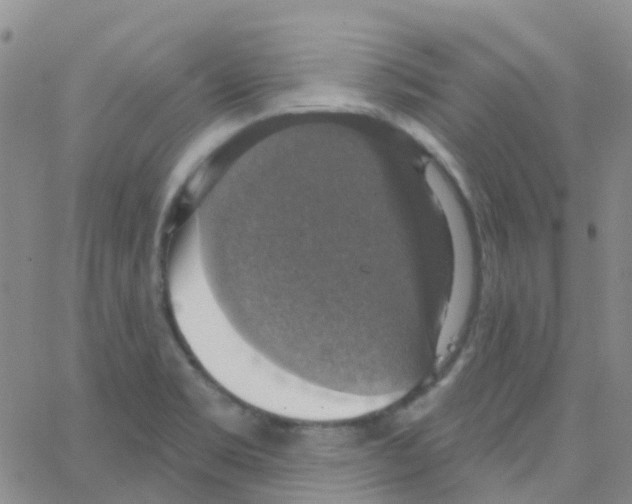 X0000064741469200603131306