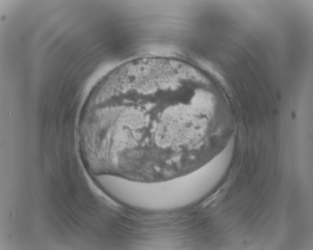 X0000064741471200603131306