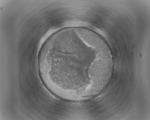 X0000064741472200603131306