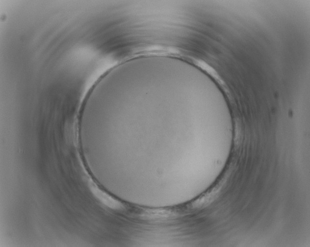 X0000064741474200603131306