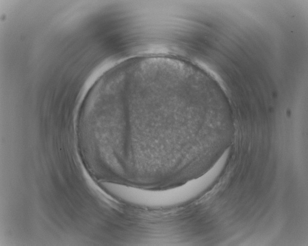 X0000064741475200603131306