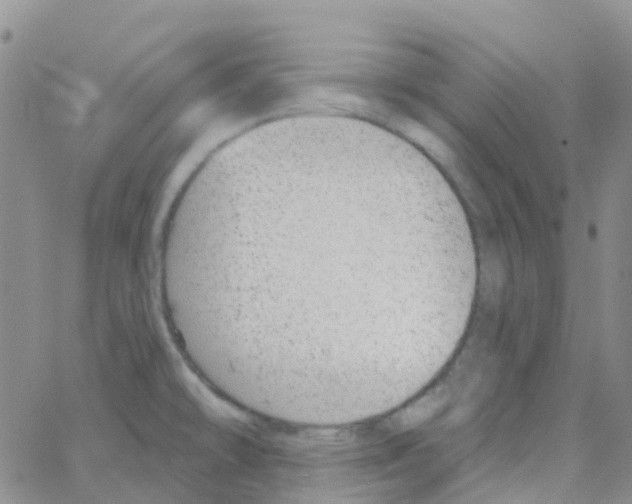 X0000064741478200603131306