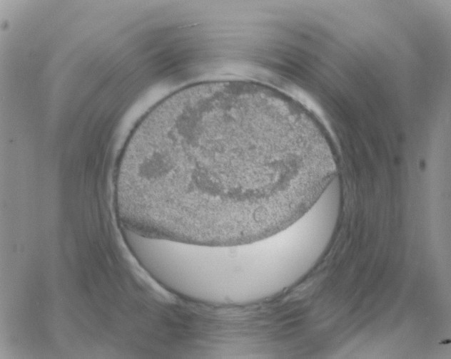 X0000064741480200603131306