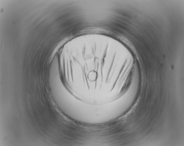 X0000064741481200603131306