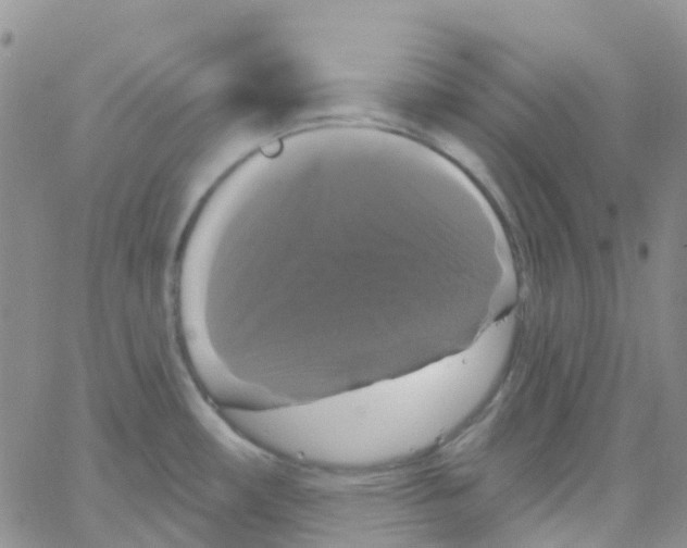 X0000064741482200603131306