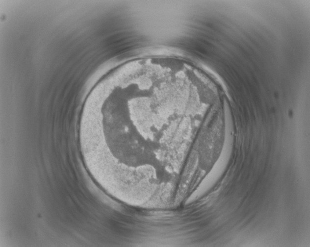 X0000064741483200603131306