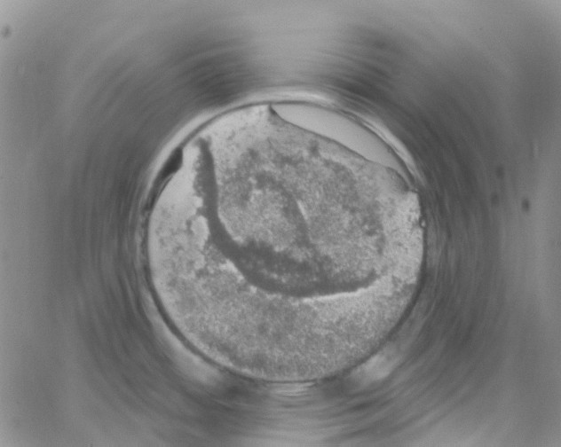 X0000064741484200603131306