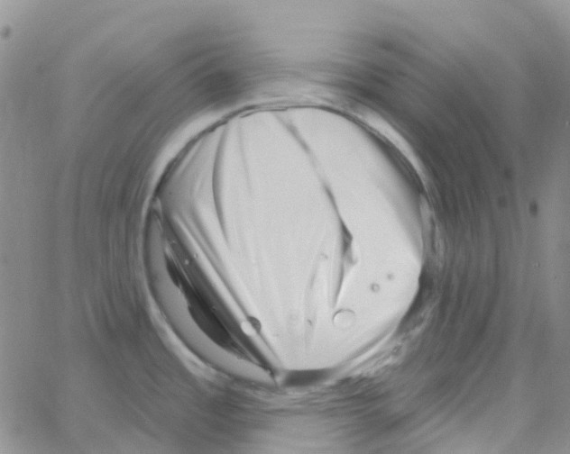 X0000064741485200603131306