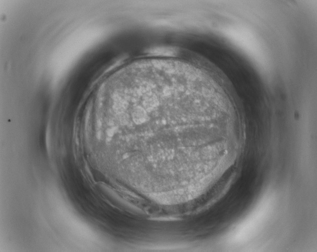 X0000064741487200603131306